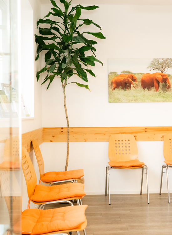 wartezimmer mit vitrine